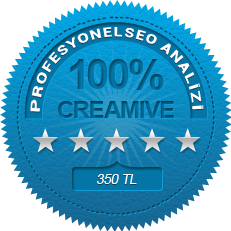 profesyonel seo analizi