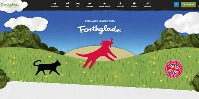 Fothglade web tasarım