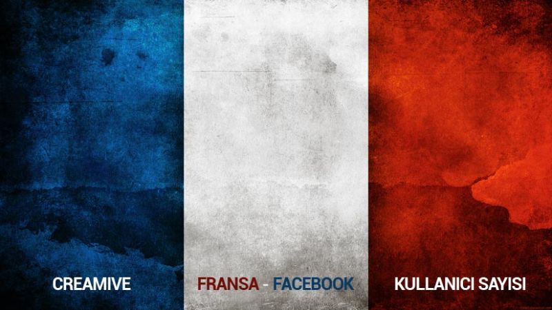 Fransa Facebook Kullanıcı Sayısı