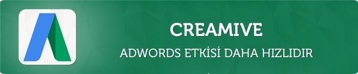 Google Adwords Etkisi