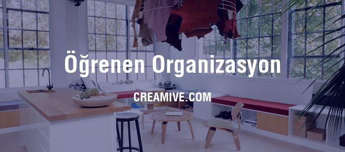 Öğrenen Organizasyon