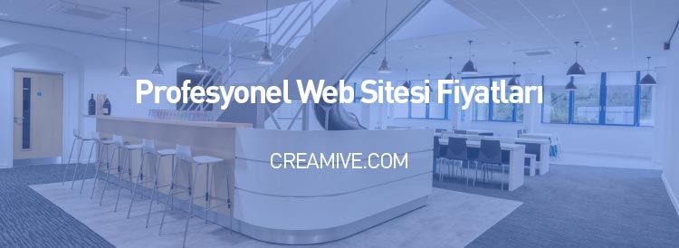 Profesyonel Web Sitesi Fiyatları