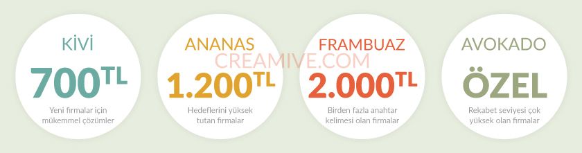 SEO Fiyatı