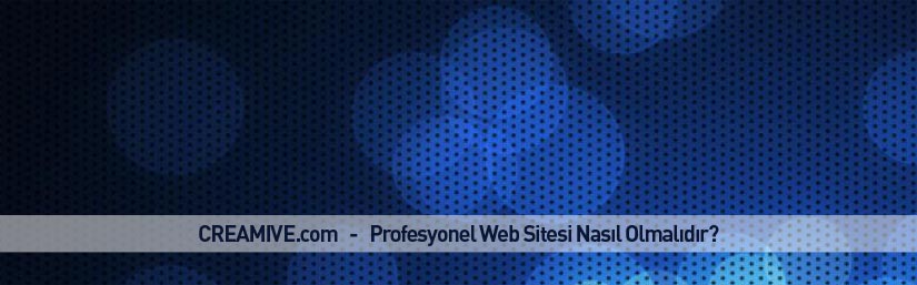 Profesyonel Web Sitesi