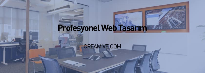 Profesyonel Web Tasarım