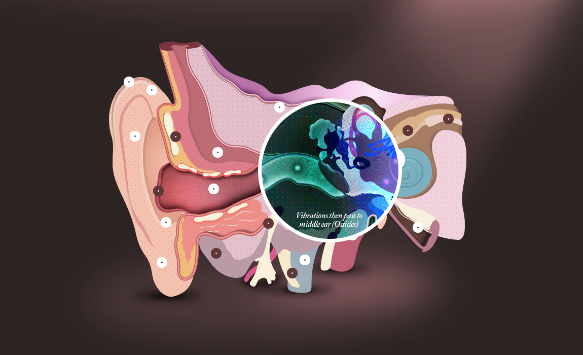 The Interactive Ear web tasarım