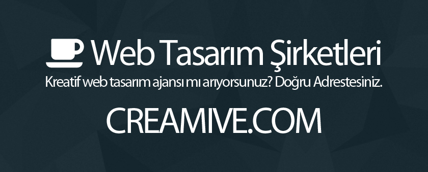 Web Tasarım Şirketleri