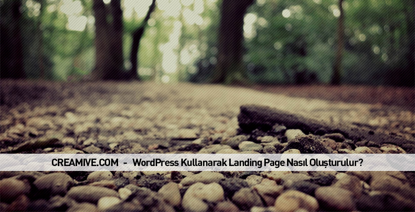 WordPress Kullanarak Landing Page Nasıl Oluşturulur?