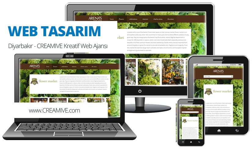 Diyarbakır Web Tasarım